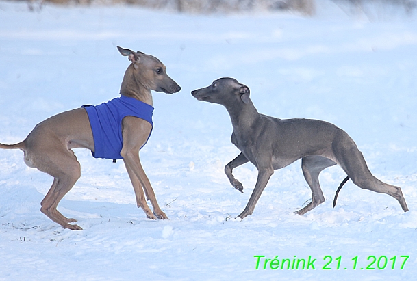 Náš trénink 21.1.2017  (21)