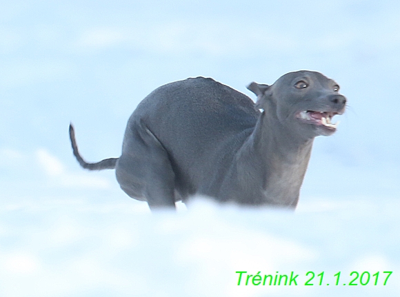 Náš trénink 21.1.2017  (25)