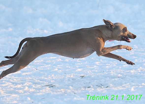 Náš trénink 21.1.2017 (130)