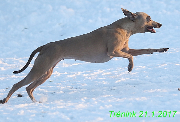 Náš trénink 21.1.2017 (131)
