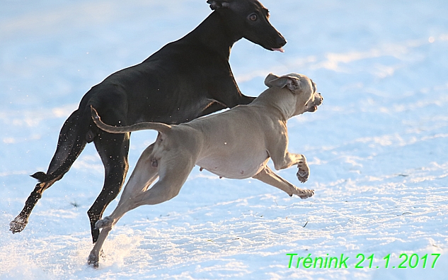 Náš trénink 21.1.2017 (133)