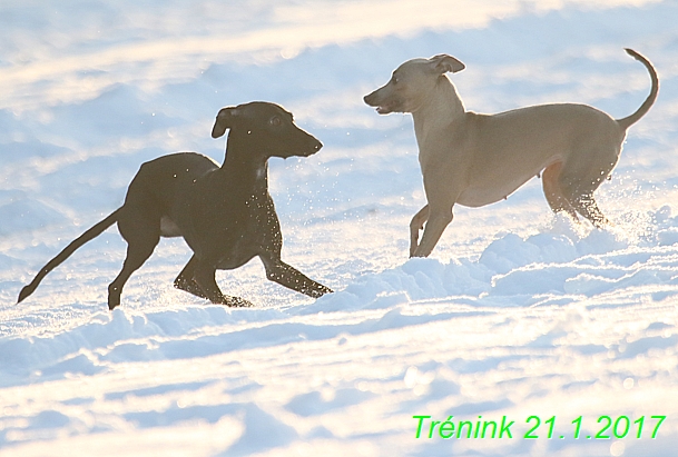 Náš trénink 21.1.2017 (134)