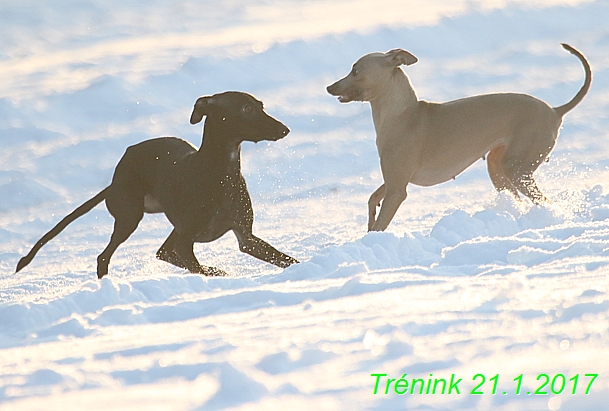 Náš trénink 21.1.2017  (134)