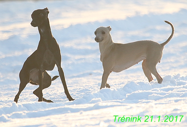 Náš trénink 21.1.2017 (135)