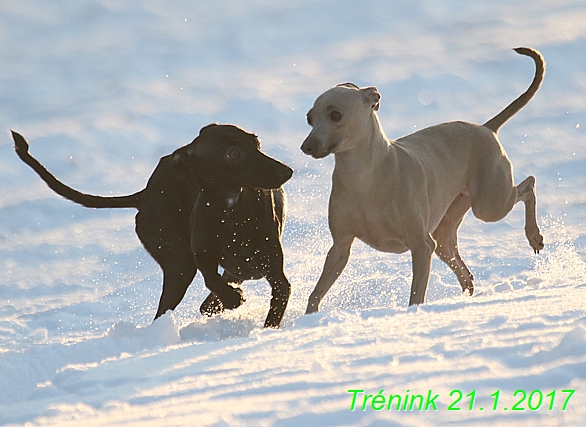 Náš trénink 21.1.2017  (136)