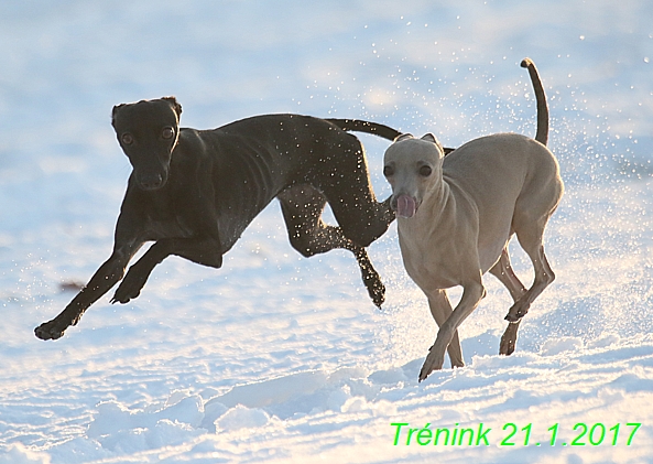 Náš trénink 21.1.2017 (137)