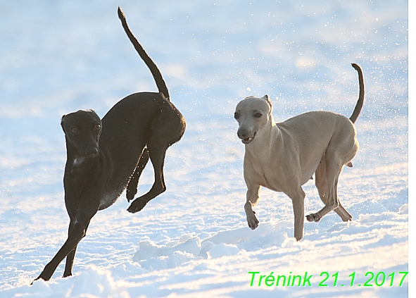 Náš trénink 21.1.2017 (138)