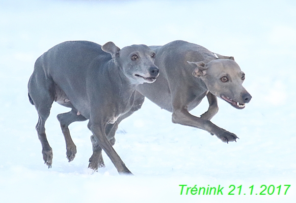 Náš trénink 21.1.2017 (103)