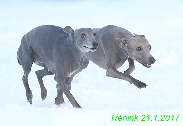 Náš trénink 21.1.2017  (103)