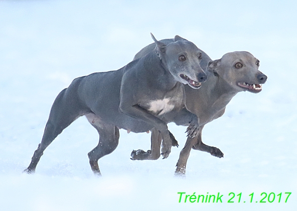 Náš trénink 21.1.2017 (104)