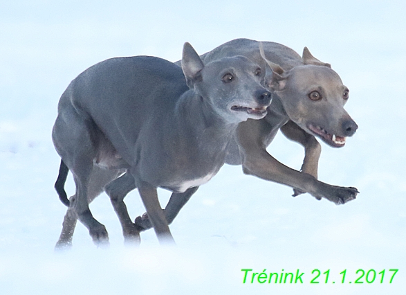 Náš trénink 21.1.2017  (105)