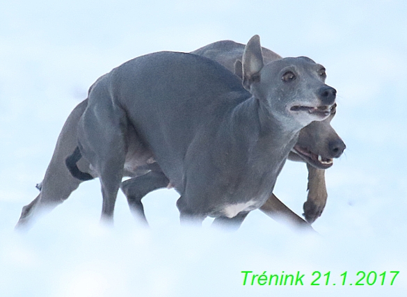 Náš trénink 21.1.2017 (106)