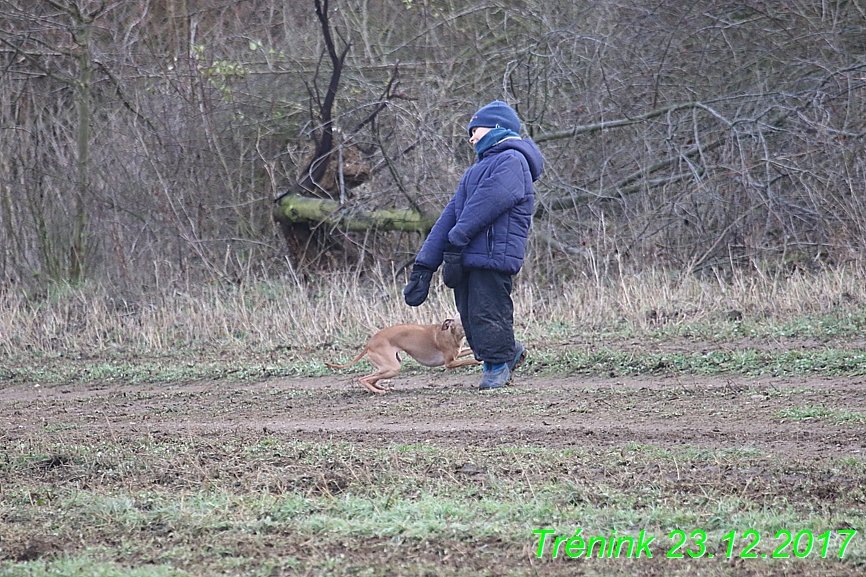 Náš soukromý trénink 23.12 (8)