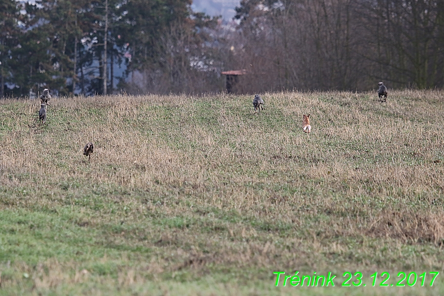 Náš soukromý trénink 23.12 (18)