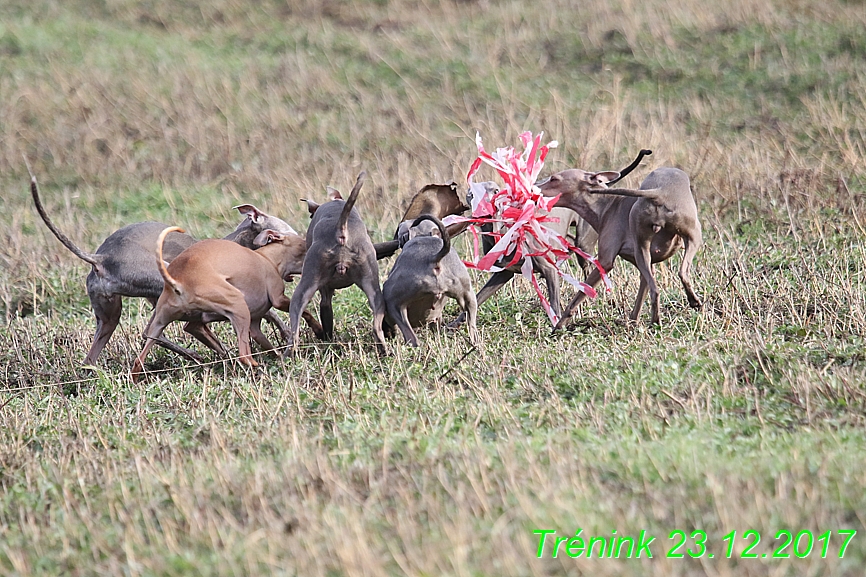 Náš soukromý trénink 23.12 (37)