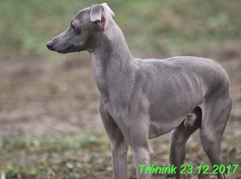 Náš soukromý trénink 23.12 (55)