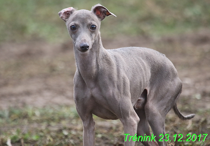 Náš soukromý trénink 23.12 (56)