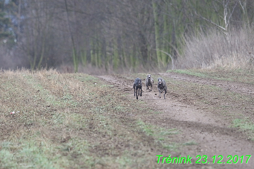 Náš soukromý trénink 23.12 (58)