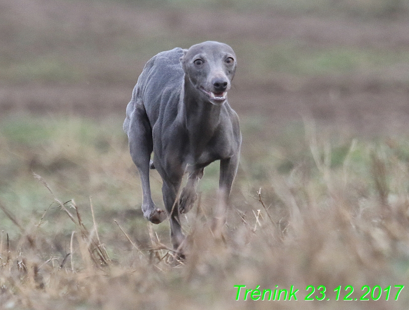 Náš soukromý trénink 23.12 (70)