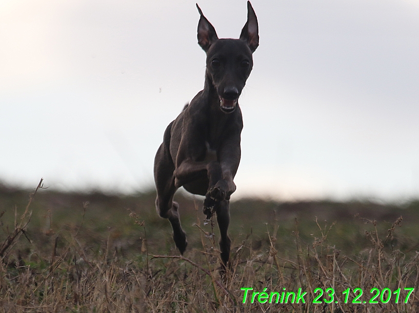 Náš soukromý trénink 23.12 (76)