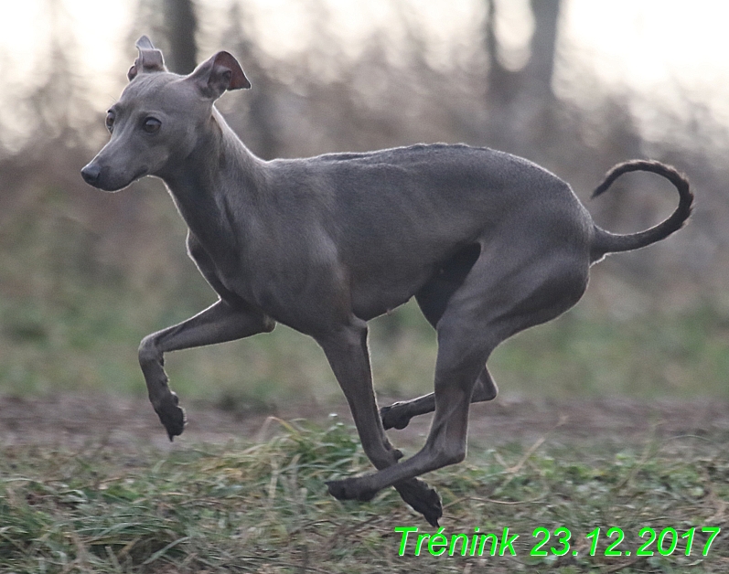 Náš soukromý trénink 23.12 (79)