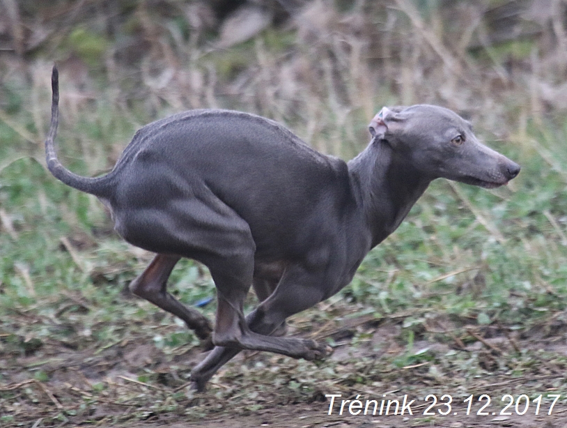 Náš soukromý trénink 23.12 (82)