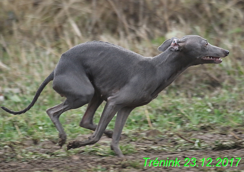 Náš soukromý trénink 23.12 (85)