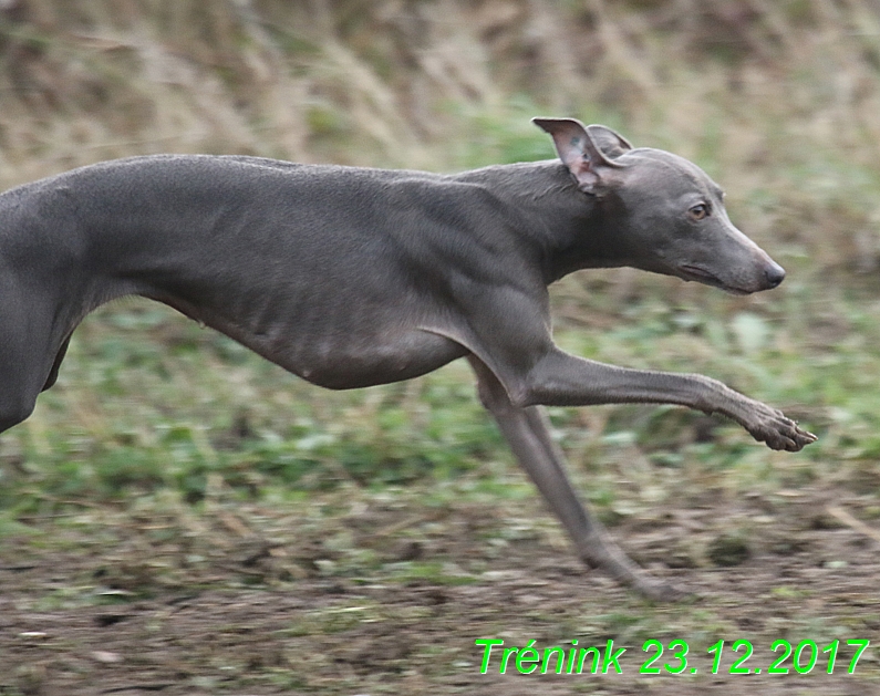 Náš soukromý trénink 23.12 (86)