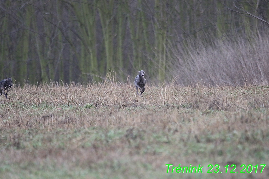 Náš soukromý trénink 23.12 (90)