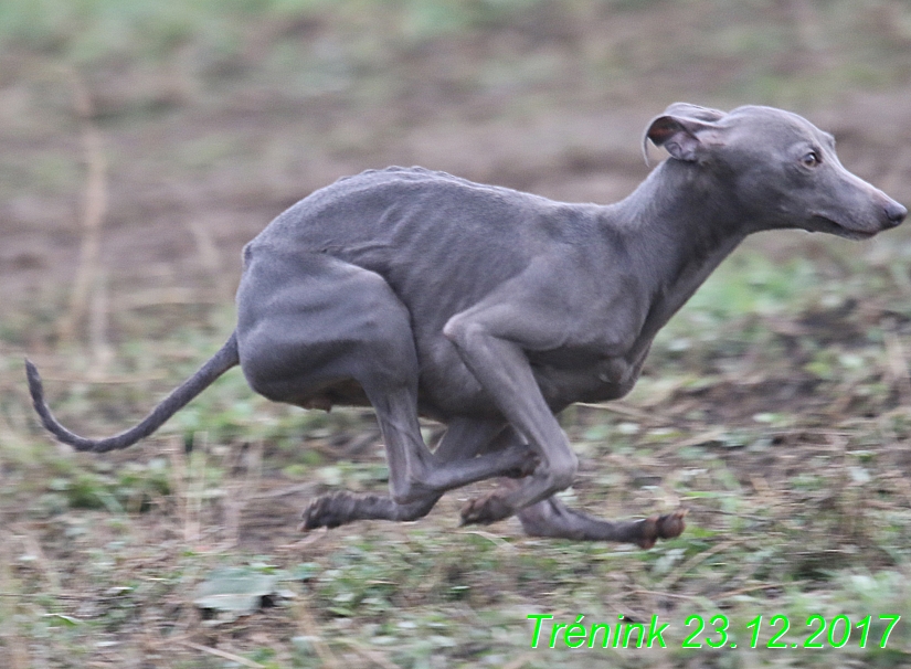 Náš soukromý trénink 23.12 (102)