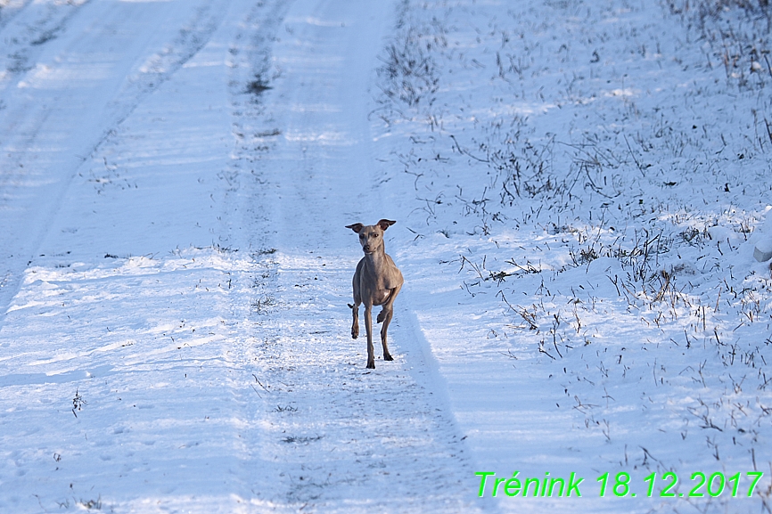 Náš soukromý trénink 18.12 (3)