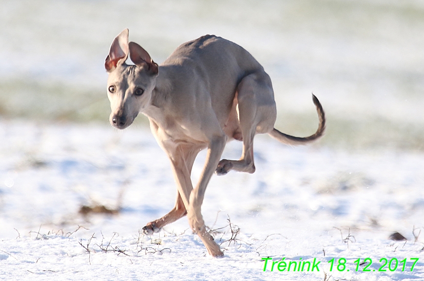 Náš soukromý trénink 18.12 (7)