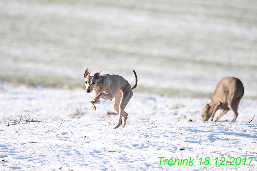 Náš soukromý trénink 18.12 (8)