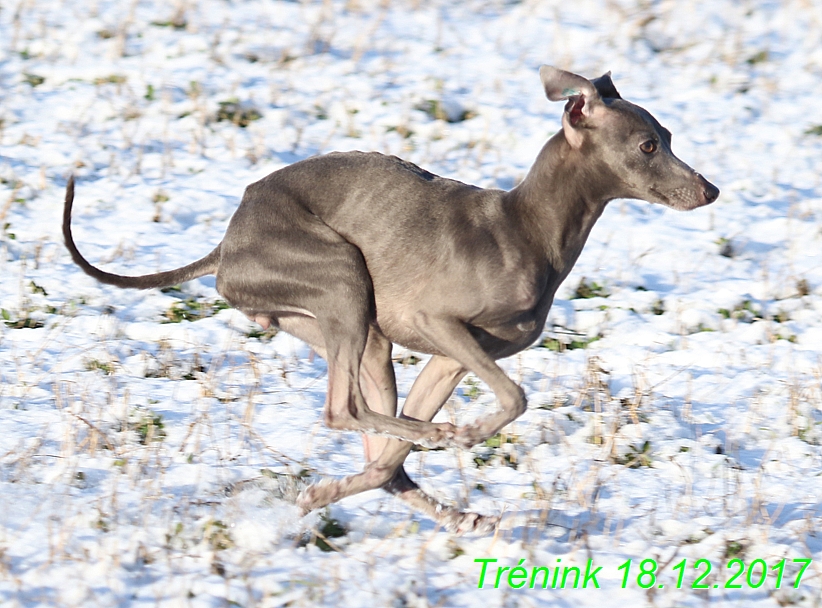 Náš soukromý trénink 18.12 (12)