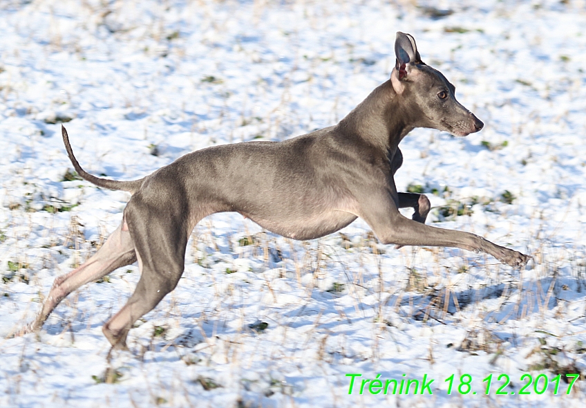 Náš soukromý trénink 18.12 (14)