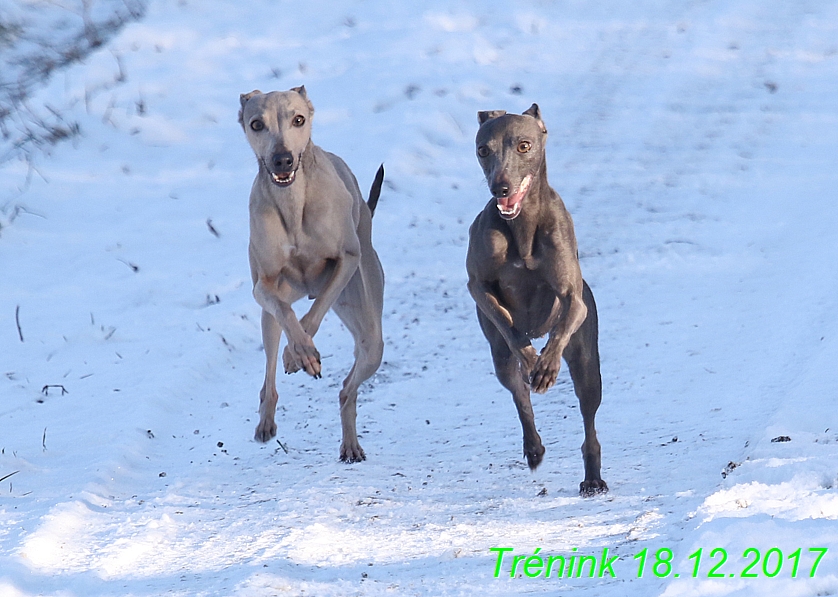 Náš soukromý trénink 18.12 (17)