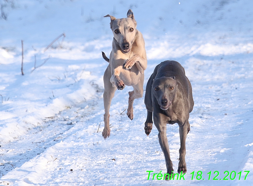 Náš soukromý trénink 18.12 (20)