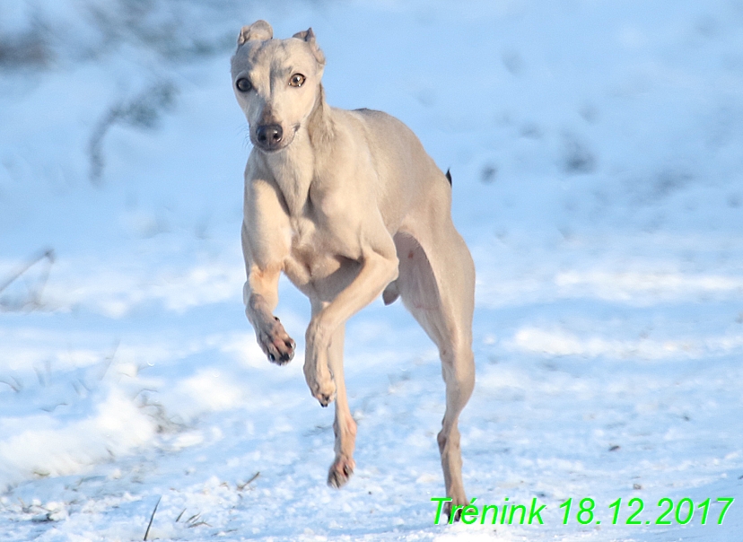 Náš soukromý trénink 18.12 (23)