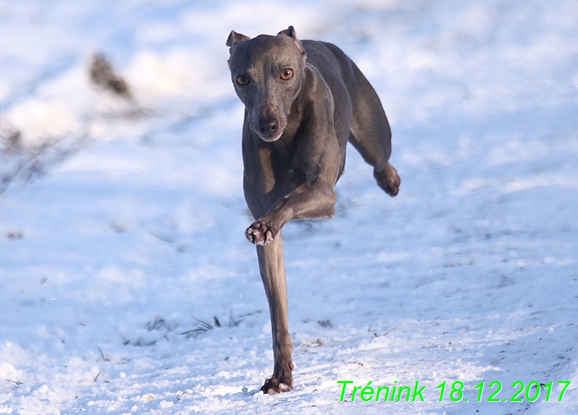 Náš soukromý trénink 18.12 (26)