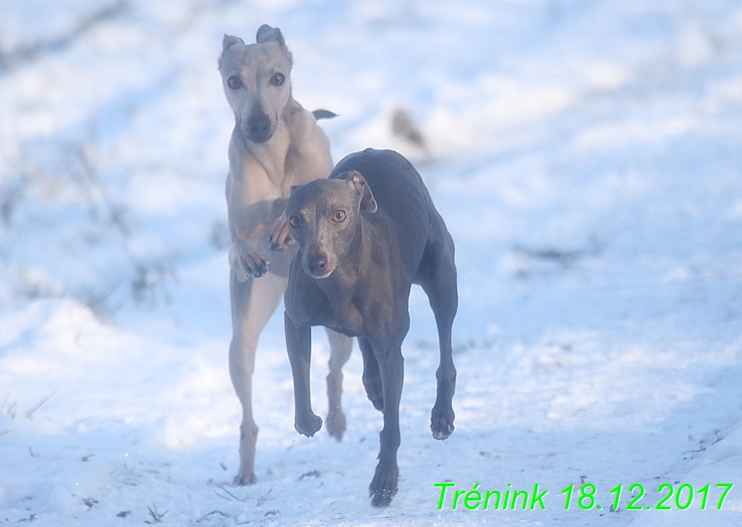 Náš soukromý trénink 18.12 (31)