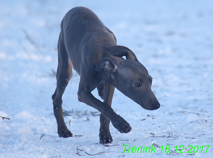 Náš soukromý trénink 18.12 (37)