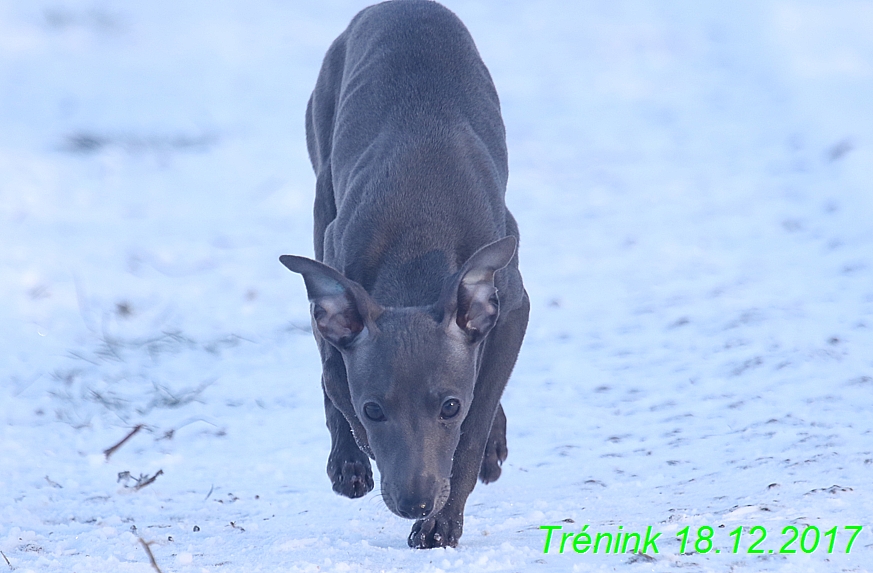 Náš soukromý trénink 18.12 (38)