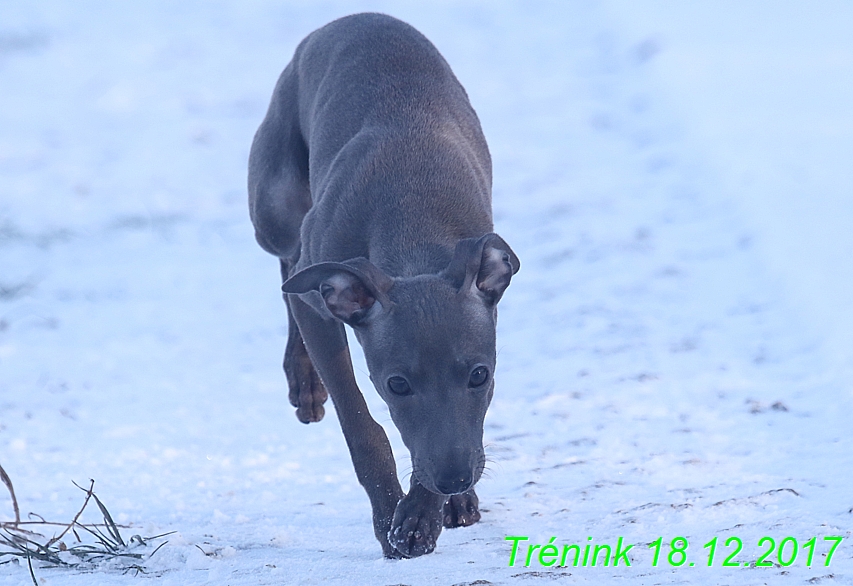 Náš soukromý trénink 18.12 (39)