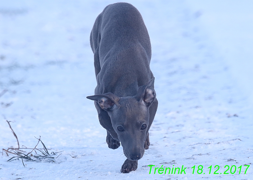 Náš soukromý trénink 18.12 (40)