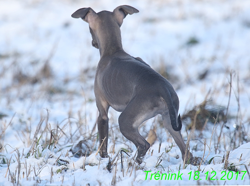 Náš soukromý trénink 18.12 (43)