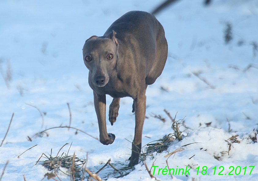 Náš soukromý trénink 18.12 (47)