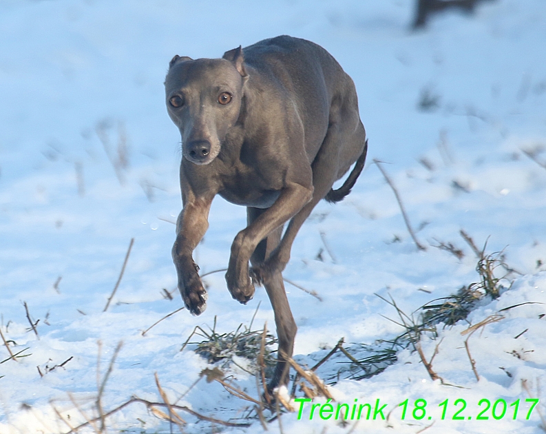 Náš soukromý trénink 18.12 (48)