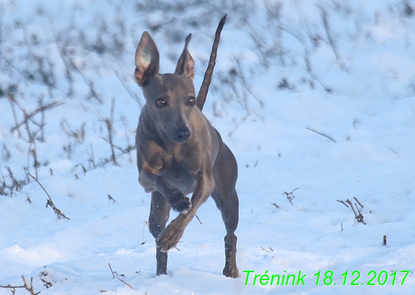 Náš soukromý trénink 18.12 (49)