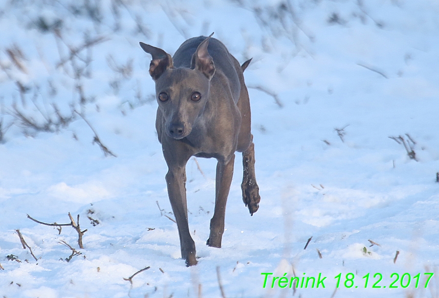 Náš soukromý trénink 18.12 (50)