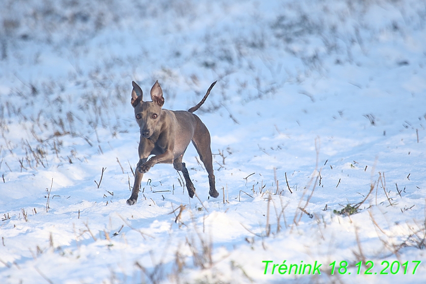 Náš soukromý trénink 18.12 (51)